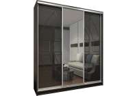 Шкаф-купе Вектор 8