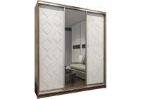 Шкаф-купе Вектор 9