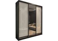 Шкаф-купе Вектор 11