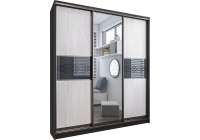 Шкаф-купе Вектор 15