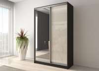 Шкаф-купе Вектор 25