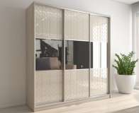 Шкаф-купе Вектор 31