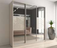 Шкаф-купе Вектор 35